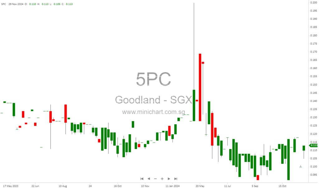 Goodland Group Reports FY2024 Financial Results: Revenue Declines Amid Challenging Market Conditions