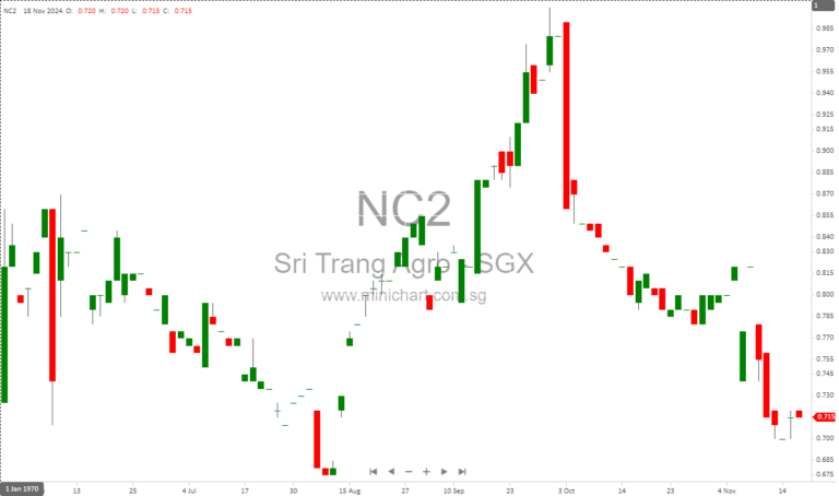 Sri Trang Group Q3 2024 Results: Record Revenue Growth and EUDR Readiness