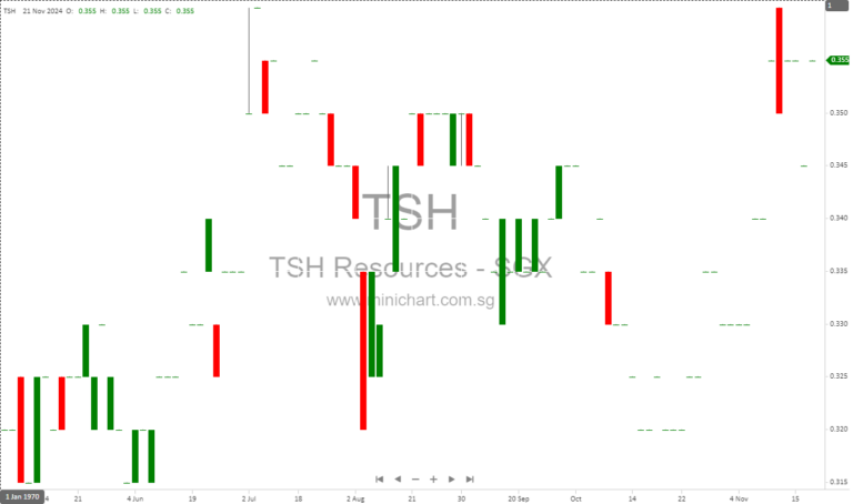 TSH Resources Reports Q3 2024 Results: Revenue Dips but Core Profit Rises Year-to-Date