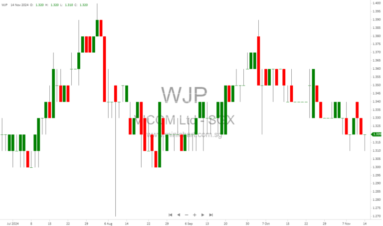 VICOM’s Q3 2024 Results: Revenue Surge and OBU Project Success Amid Rising Costs