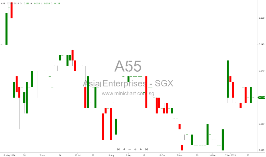Asia Enterprises Reports 57% Revenue Decline in FY2024 Amid Steel Industry Challenges
