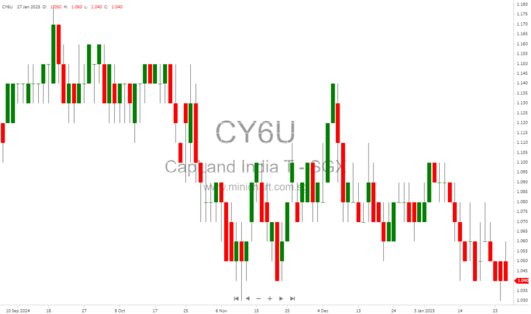 CapitaLand India Trust Reports Strong 14% YoY Growth in FY 2024 Net Property Income