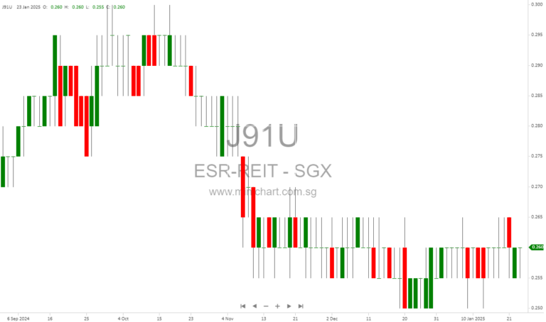 ESR-REIT Reports Full Year 2024 Results: Net Property Income of S$261.7 Million Amid Market Challenges