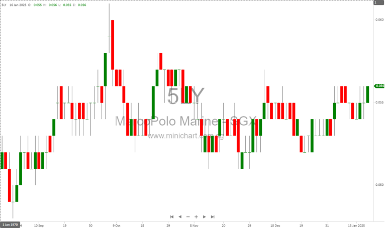 Marco Polo Marine Addresses Growth, Challenges, and Financial Discrepancies in 2024 Annual Report