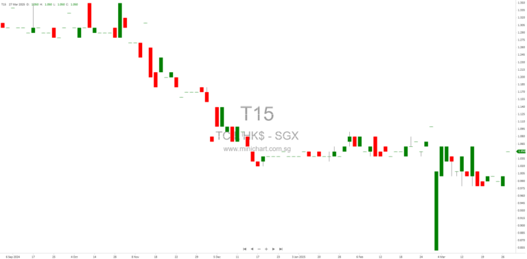 Tan Chong International Limited – Resilient Performance Amid Global Headwinds