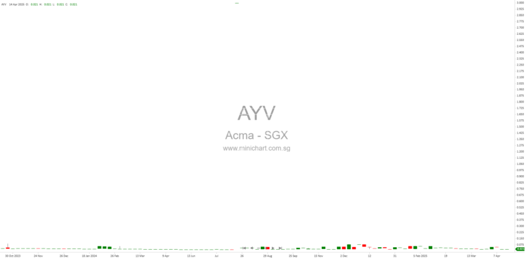 Acma Ltd Auditors Issue Qualified Opinion on FY2024 Financial Statements