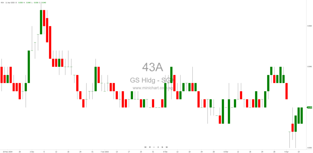 GS Holdings Limited Annual Report 2024: Investigation Update and Financial Statements