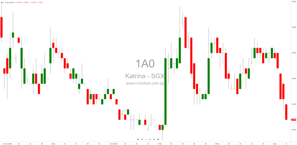Katrina Group Ltd. and its subsidiaries Independent Auditor’s Report for 2024