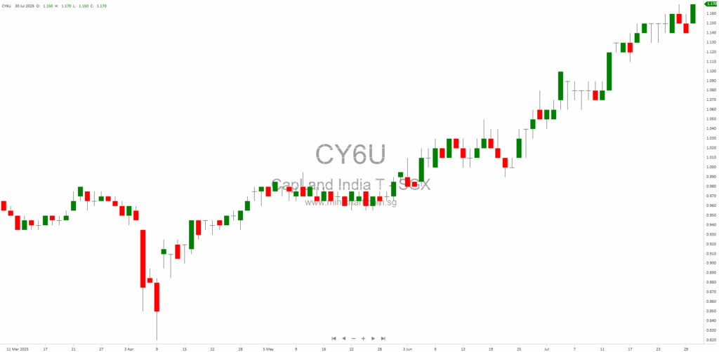 CapitaLand India Trust (CLINT) 1H FY2025 DPU Up 9% YoY: Key Highlights & Financial Performance