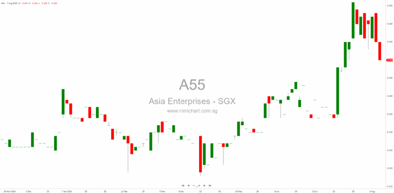 Asia Enterprises Holding Limited 1H 2025 Interim Financial Results: Revenue, Profit, and Strategic Updates