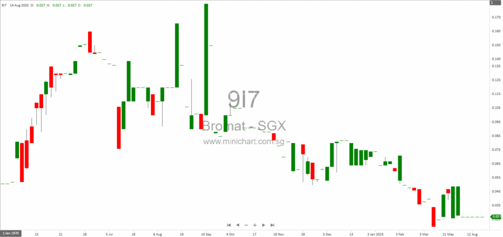 Bromat Holdings Ltd. Q3 & 9M 2025 Financial Results: No Dividend Declared, Revenue Plunges 90% Amid Restructuring 19