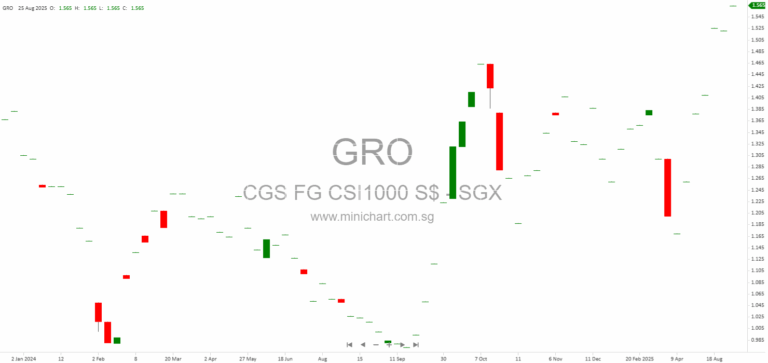 CGS SG ETF Series II Semi-Annual Report June 2025 – Performance, Portfolio Highlights & Dividend Information