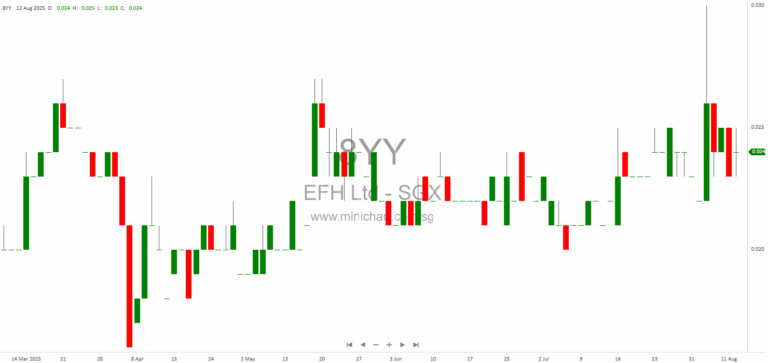 Embracing Future Holdings Limited HY FY2025 Results: E-Sports Revenue Surge, No Dividend Declared Due to Losses 228