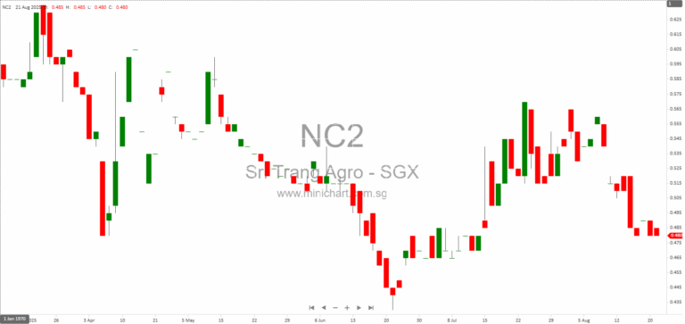 Sri Trang Agro-Industry 2Q25 Results: Financial Performance, Global Expansion, and Dividend Policy Overview