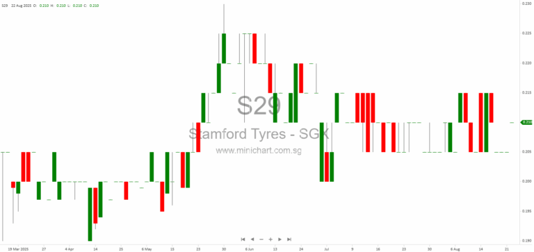 Stamford Tyres FY2025 Annual Report: Margins, Competitive Strategy, Facility Investments, and Board Governance Explained
