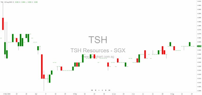 TSH Resources Berhad Q2 2025 Results: Profit Surges 126% Year-on-Year, No Dividend Declared for Quarter 319