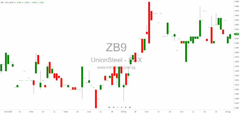 Union Steel Holdings Exercises 200 Million Eneco Energy Warrants, Boosts Shareholding to 28.85% – SGX Discloseable Transaction Explained 12345