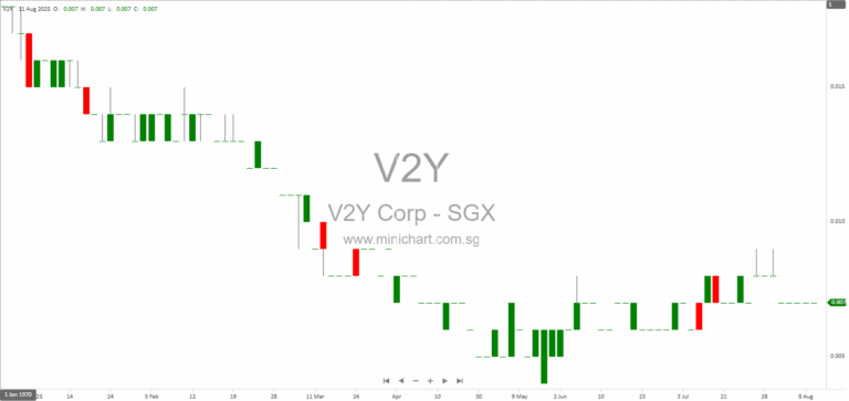 V2Y Corporation Ltd. 2025 AGM Minutes: Director Re-Elections, Financial Performance, and Future Business Strategy 1
