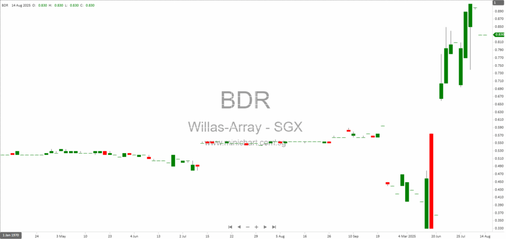 Willas-Array Electronics 2025 Interim Results: HK$20.7M Profit, No Interim Dividend Declared, Financial & Segment Analysis