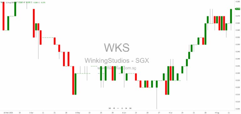 Winking Studios 1H2025 Results: 27% Revenue Growth, Strong M&A Expansion, and No Dividend Declared