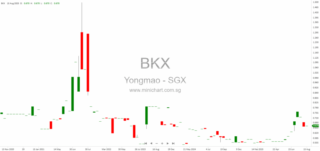 Yongmao Holdings Limited 2025 Annual General Meeting Minutes – Resolutions, Director Changes, and Voting Results