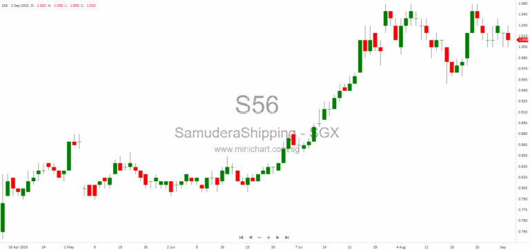 Samudera Shipping Line Acquires Second-Hand 2,684 TEU Container Vessel for US$50.36 Million, Delivery in Q4 2025 1