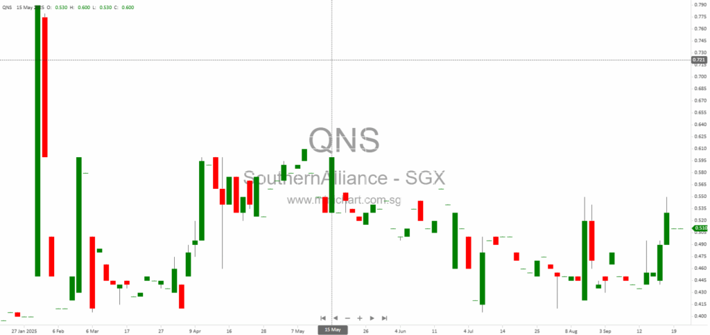 Southern Alliance Mining Ltd. Issues Earnings Guidance for FY2025: Higher Net Loss Expected, No Dividend Details Announced 1
