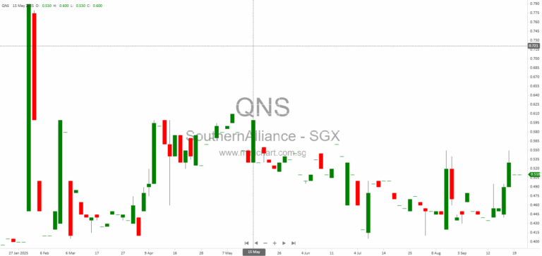 Southern Alliance Mining Ltd. Issues Earnings Guidance for FY2025: Higher Net Loss Expected, No Dividend Details Announced 1