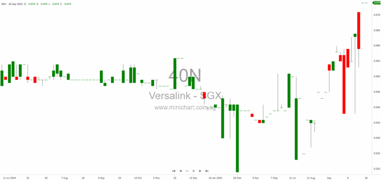 Versalink Holdings Limited 2025 AGM Minutes: Resolutions Passed, Director Re-Elections, and Share Issuance Authority