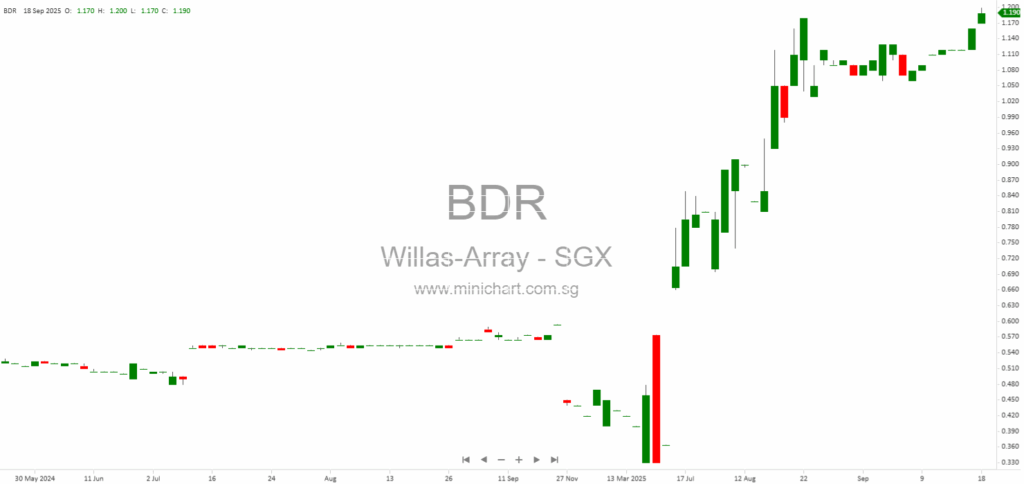 Willas-Array Electronics Interim Report 2025: Financial Results, Segment Performance & No Interim Dividend Declared