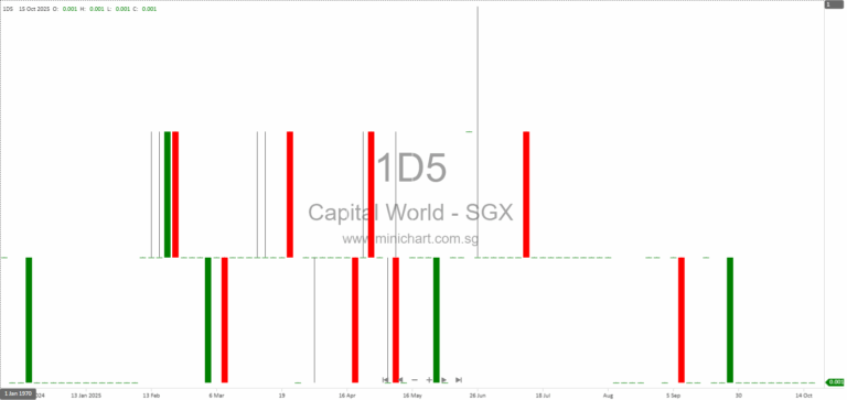 Capital World Limited Receives Auditor Disclaimer of Opinion for FY2025 Results – No Dividend Declared