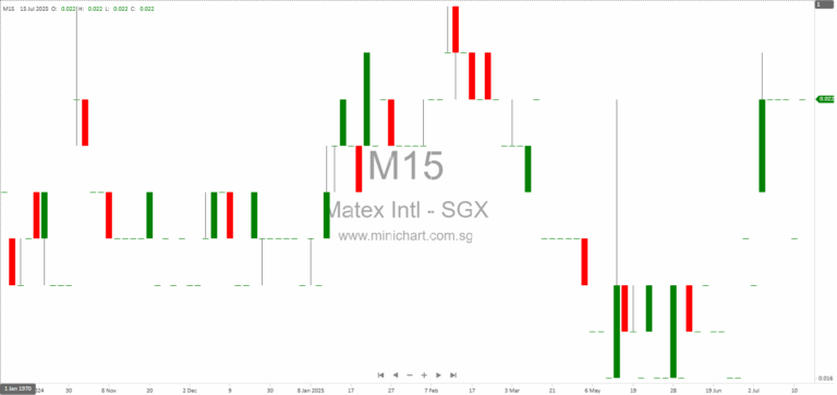 Matex International Limited EGM 2025: Board Changes, Director Appointments, and Poll Results Explained 1 2 3 4 5 6