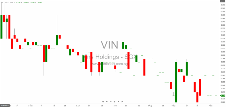 Vin’s Holdings Singapore Now Accepts Cryptocurrency and Stablecoins for Automotive Services 12