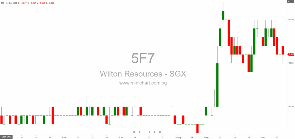 Wilton Resources Corporation Limited 2024 Independent Auditor’s Report: Disclaimer of Opinion, Going Concern Issues, and No Dividend Declared