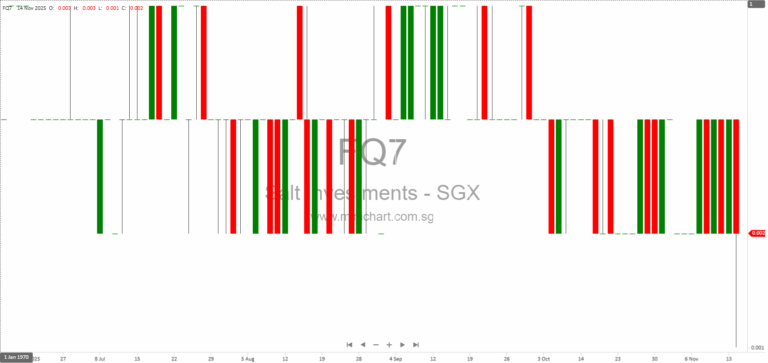 Salt Investments Limited 1H FY2026 Interim Financial Results – No Dividend Declared for Six Months Ended 30 September 2025 15