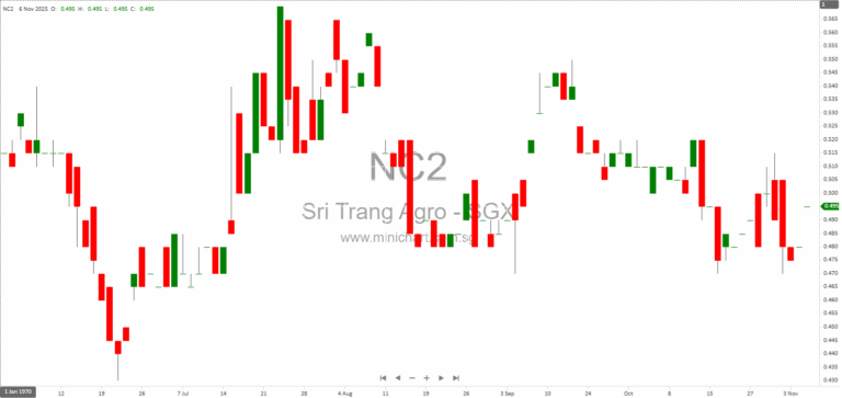 Sri Trang Agro-Industry Board Approves Q3 2025 Financial Statements and Audit Committee Reappointment—No Dividend Details Announced 1