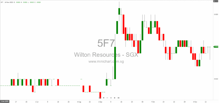 Wilton Resources Corporation Limited HY2025 Financial Results: No Dividend Declared Amid Losses and Operational Challenges
