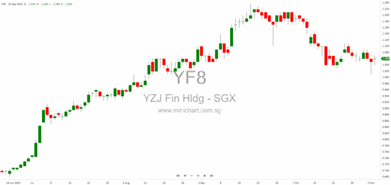 Yangzijiang Financial Holding Terminates Proposed Investment in Ningbo Shanshan Co. After Restructuring Plan Rejected 1