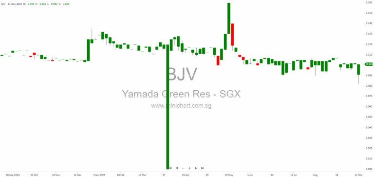 Yamada Green Resources Limited 2025 AGM Minutes: Business Strategy, Financial Results, and Key Resolutions Passed