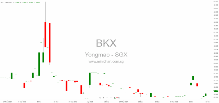 Yongmao Holdings 1H FY2026 Financial Results: Revenue Down 20%, No Interim Dividend Declared