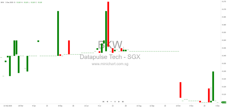 Datapulse Technology Limited 45th AGM 2025: Key Decisions, Shareholder Q&A, and Business Outlook
