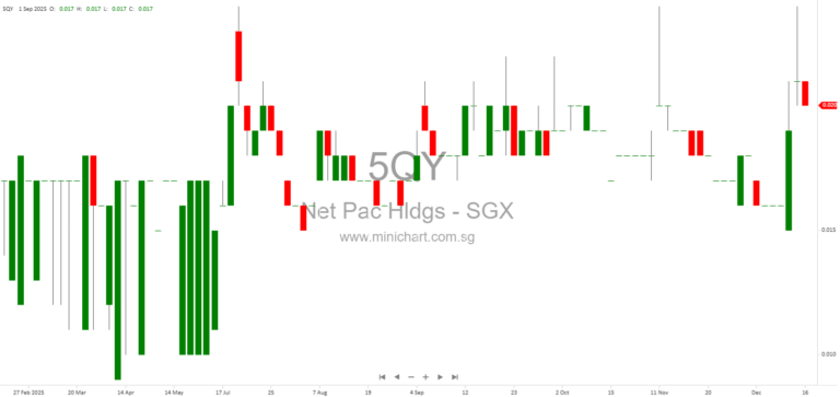 Net Pacific Holdings Limited Annual General Meeting 2025: Key Resolutions, Director Re-elections, and Financial Decisions
