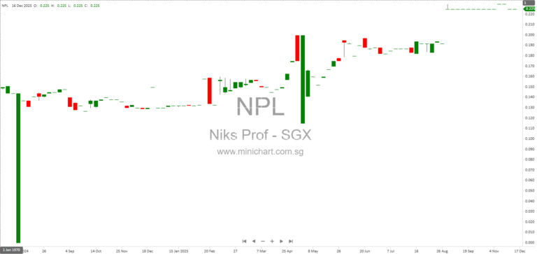 NIKS Professional Ltd. Receives Court Approval for Proposed Selective Capital Reduction and Delisting Update 1