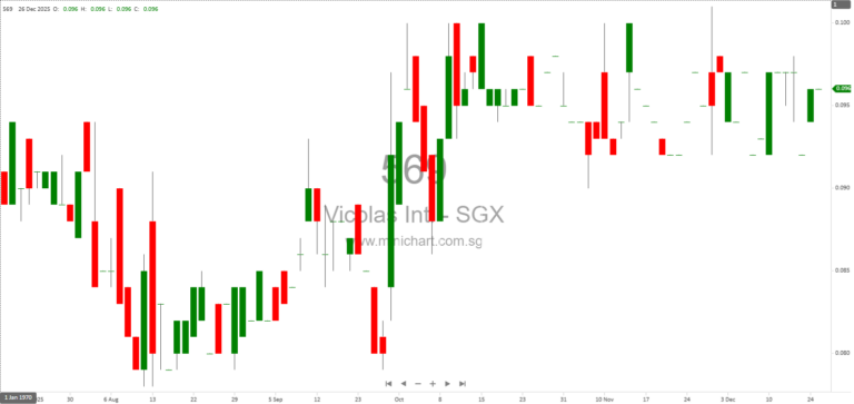 Vicplas International Ltd 2025 AGM Minutes: Financials, Strategic Updates, Shareholder Q&A, and Resolutions