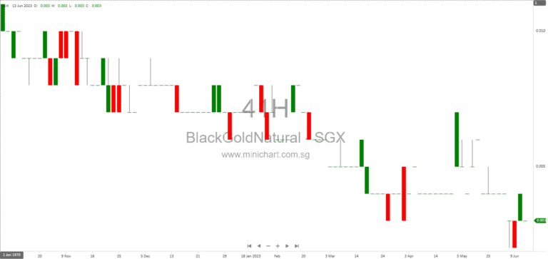 Blackgold Natural Resources Limited Granted 6-Month Extension for Judicial Management Following Creditor Approval of RAG Proposal