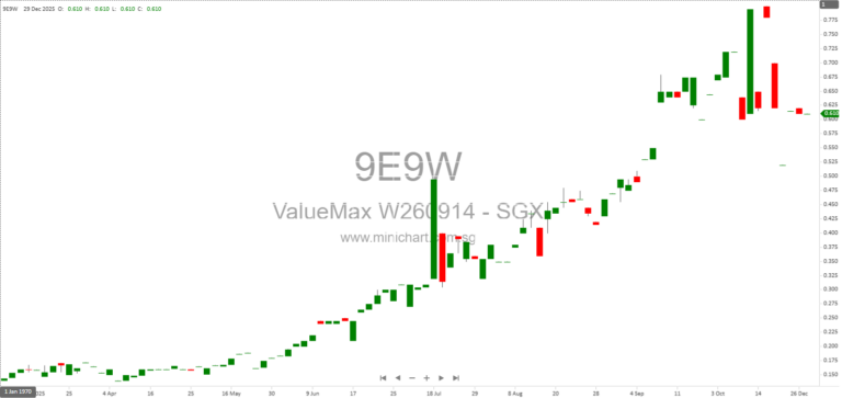 ValueMax Group Issues 400,000 New Shares Following Warrant Exercise at S$0.36 Each