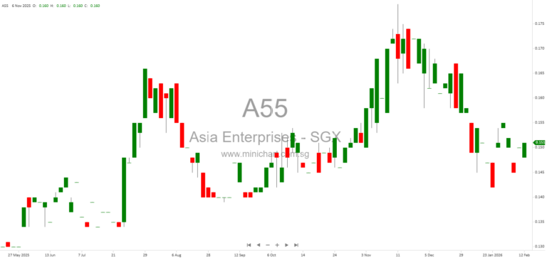 Asia Enterprises Holding Limited FY2025 Results: 20% Revenue Decline, $0.3 Cent Final Dividend Proposed, and Financial Highlights