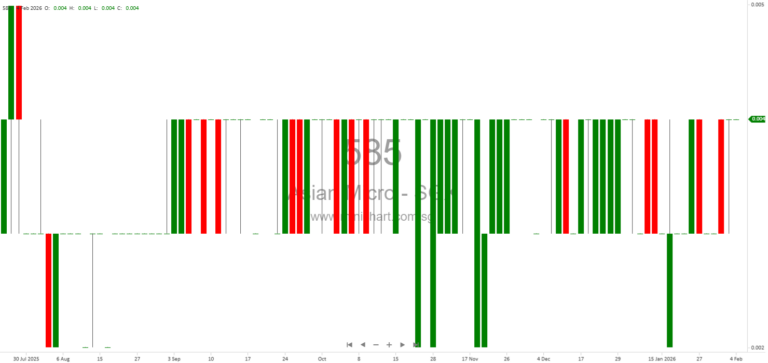 Asian Micro Holdings Limited 1H FY2026 Interim Financial Results: Revenue Down, No Dividend Declared
