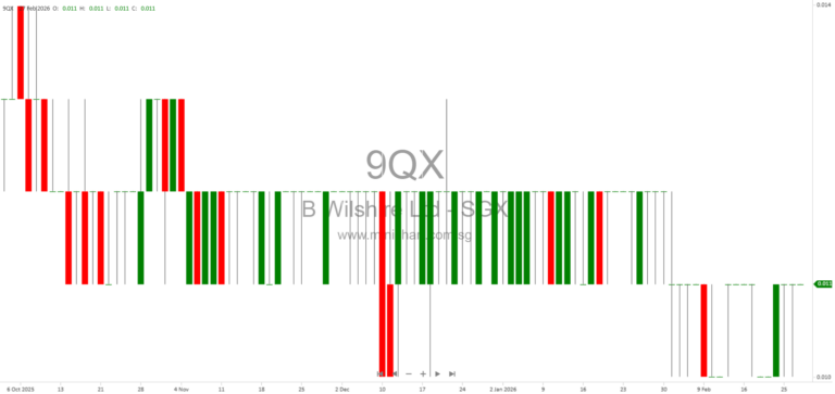 Beverly Wilshire Ltd. FY2025 Financial Results: Revenue Growth, No Dividend Declared, and Business Outlook