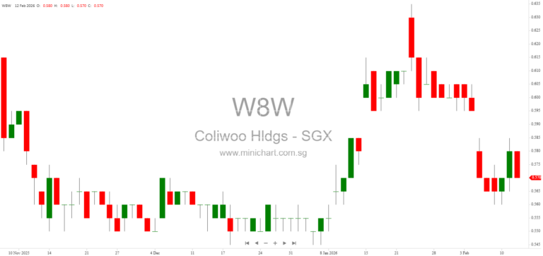 Coliwoo Holdings Included in MSCI Global Micro Cap Indexes Singapore, Boosts Investor Visibility and Growth Potential 1